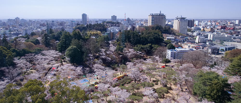 県外（栃木県、埼玉県）